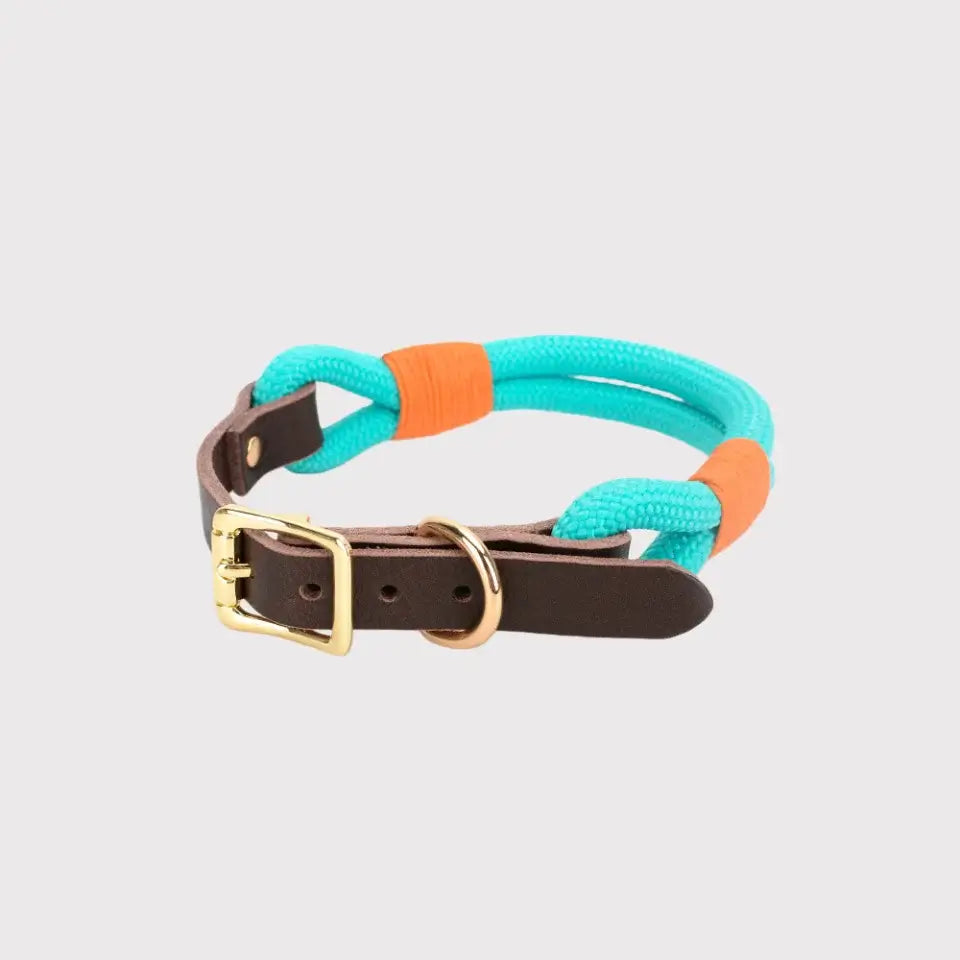 Premium rope and leather blue pet collar with gold buckle by Pawful Moments