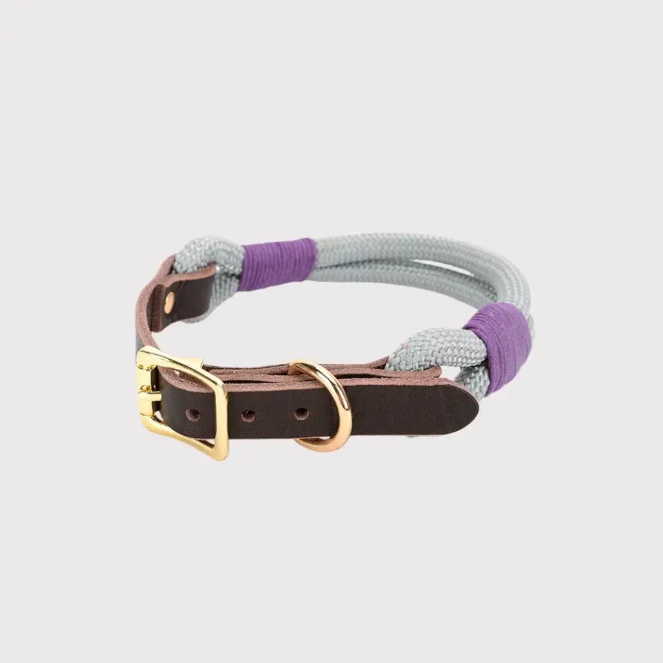 Premium rope and leather grey pet collar with gold buckle by Pawful Moments