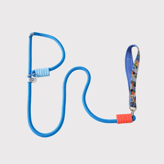 Cute adjustable blue rope dog leash with playful color accents by Pawful Moments