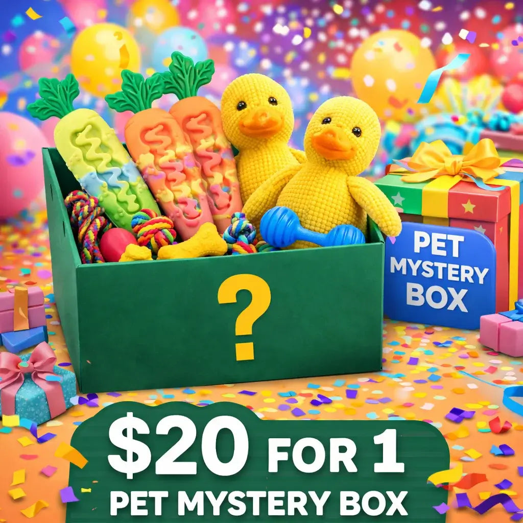 Pawful Moments | Pawsome Play Mystery Box
