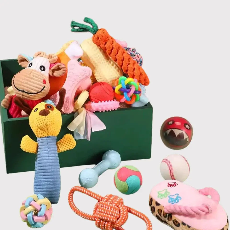 Pet toy mystery box with assorted plush and chew toys by Pawful Moments