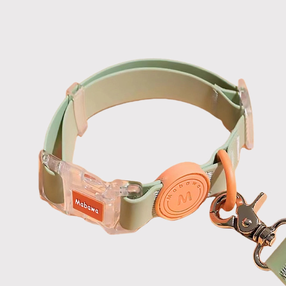 Pawful Moments adjustable soft silicone green pet collar with clear clasp for dogs and cats